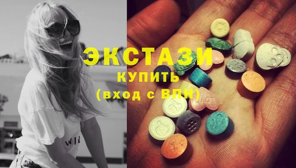 ECSTASY Богданович